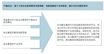 国企财务管理提升路径研究——中大咨询视角