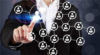 如何选择专业的企业管理咨询与IT猎头服务